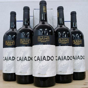 2022 Adega Mayor, Caiado - Alentejo DOC - 5 Magnums (1.5L), Nieuw