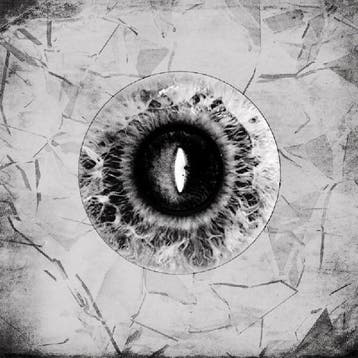 cd digi - Celestial Wolves - Illusive Landscape Of Expres..., Verzenden, Zo goed als nieuw