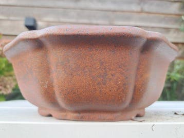 Bonsai schaal - 23,5x23,5x8,5cm - Hoogte (boom): 0 cm -