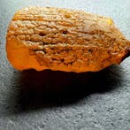 Grote natuurlijke Baltische amber ruwe steen 60,0 gram -