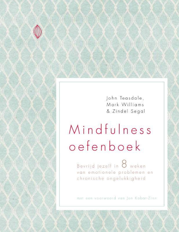 Mindfulness oefenboek - John Teasdale 9789057124044, Boeken, Psychologie, Gelezen, Verzenden