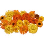 Eetbare Gedroogde Goudsbloemen (20 stuks), Verzenden, Nieuw