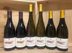 2022 Michel & Stephane Ogier Saint-Joseph Le Passage, Syrah, Nieuw