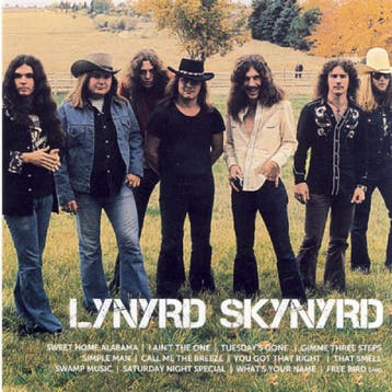 cd - Lynyrd Skynyrd - Icon, Verzenden, Zo goed als nieuw