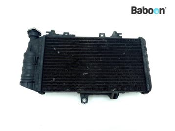 Radiateur BMW F 800 S (F800S) (7678284), Motoren, Onderdelen | BMW, Verzenden, Gebruikt