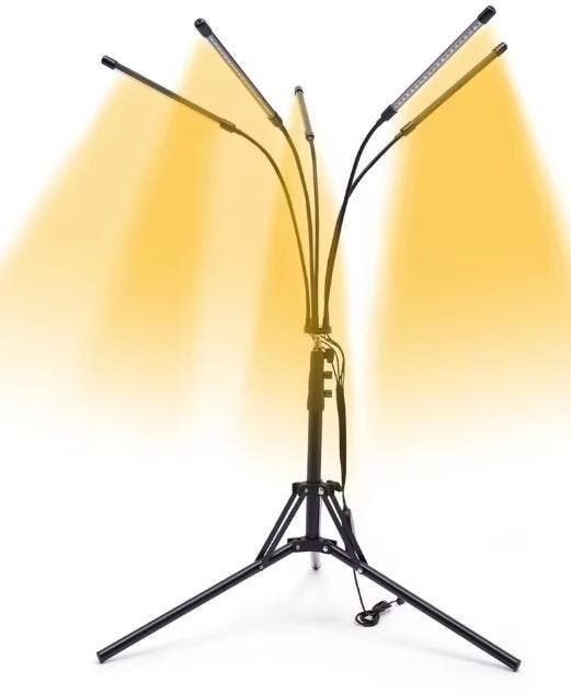 5-Arm LED Vloerlamp Kamerplanten Volledig Spectrum Timer, Boeken, Wonen en Tuinieren, Nieuw, Verzenden