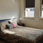 Kamer in Roermond gevonden voor €685,- pm, 20 tot 35 m², Overige regio's