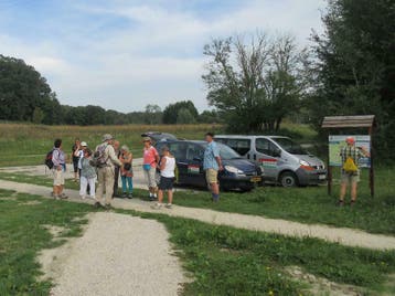 Wandelen in de natuur in het najaar 2026 in Hongarije, Vakantie, Vakantie | Senioren