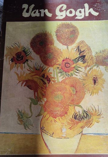 Van Gogh - Petrie, Boeken, Verzenden, Gelezen