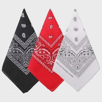 Unisex Paisley Bandana Sjaal - 55x55cm - Zwart, Rood, Wit, Kleding | Dames, Hoeden en Petten, Verzenden, Nieuw