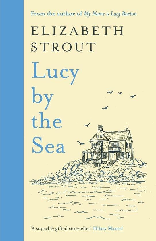 Lucy by the Sea, Boeken, Literatuur, Ophalen of Verzenden