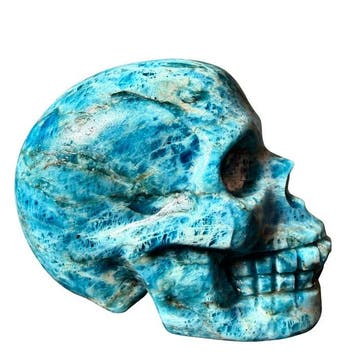 Skull en apatiet - premium Gravure - Hoogte: 50 mm -