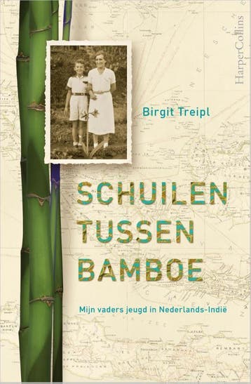 Schuilen tussen bamboe - Birgit Treipl 9789402705638, Boeken, Verzenden, Gelezen, Birgit Treipl
