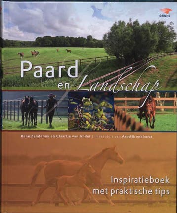 Paard en landschap - R. Zanderink 9789059562790, Boeken, Verzenden, Zo goed als nieuw, R. Zanderink