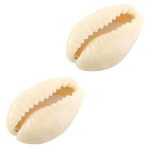 4 x Schelp kralen Kauri Ivoor-beige  ca. 14~18 x 10mm, Ophalen of Verzenden, Nieuw, Kraal