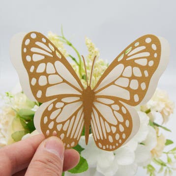 Cake topper 3D decoratie vlinders of muur decoratie met, Ophalen of Verzenden, Nieuw