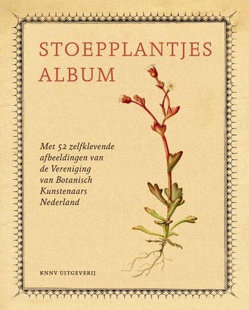 9789050118644 Stoepplantjesalbum | Tweedehands, Boeken, Verzenden, Zo goed als nieuw, Hortus Botanicus Leiden