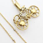 Ketting met hanger - 18 karaat Geel goud