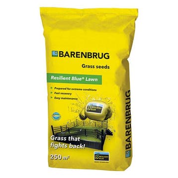 Graszaad | Barenbrug | Resilient Blue Lawn | 250 m², Tuin en Terras, Verzenden, Nieuw