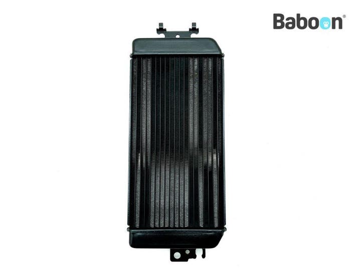 Radiateur Suzuki VL 800 2005-2010 Boulevard C50 C800 (VL800), Motoren, Onderdelen | Suzuki, Gebruikt, Verzenden