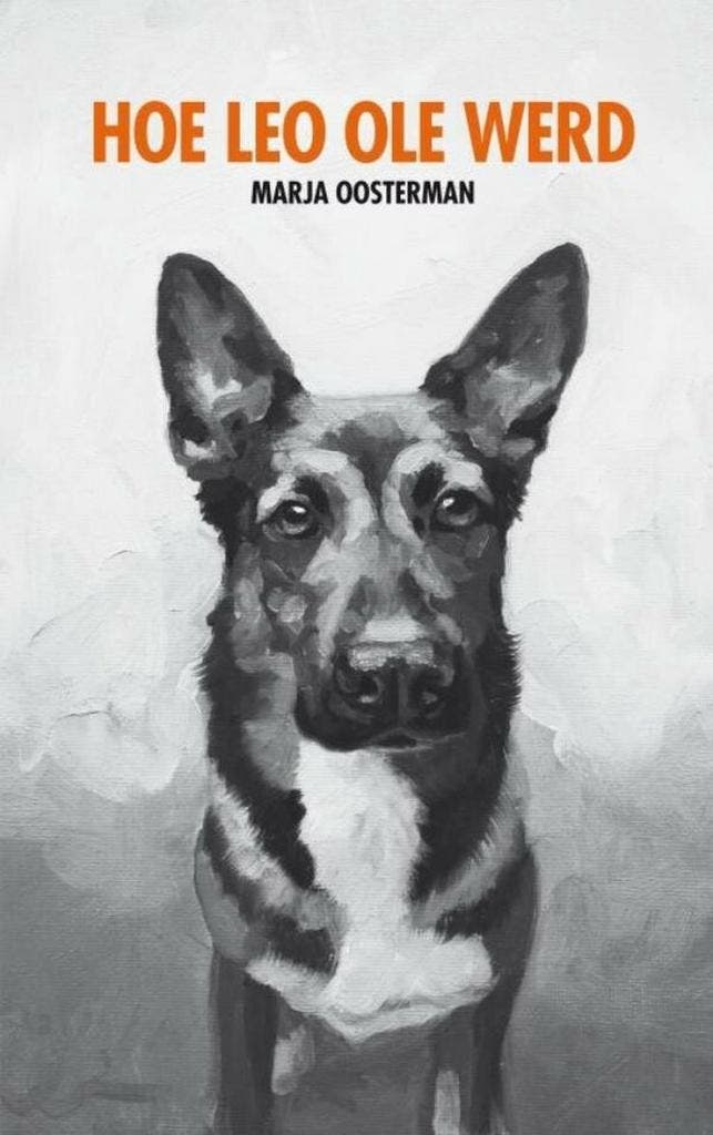 Hoe Leo Ole werd 9789464356342 Marja Oosterman, Boeken, Literatuur, Zo goed als nieuw, Verzenden