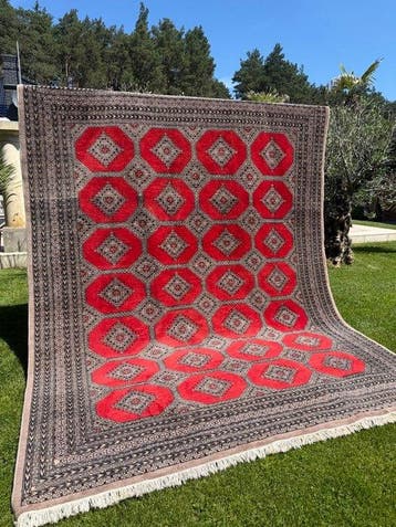 Top Pakistan tapijt lijkt op kasjmier. - Tapijt - 330 cm -, Nieuw