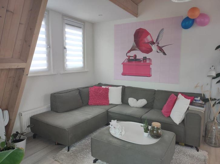 Appartement te huur in Ede - 40 m² - 1 kamer(s), Huizen en Kamers, Huizen te huur, Gelderland, Appartement
