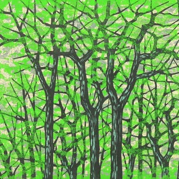 Original Woodblock Print - Wakaba Shigeru(Young