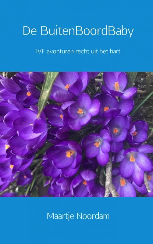 De BuitenBoordBaby 9789402158397 Maartje Noordam, Boeken, Zwangerschap en Opvoeding, Zo goed als nieuw, Verzenden