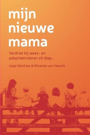 Mijn nieuwe mama - Evelien Baks 9789090283845, Verzenden, Gelezen, Evelien Baks