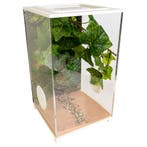 Insecten Terrarium - BioDome Wit (20x20x34), Dieren en Toebehoren