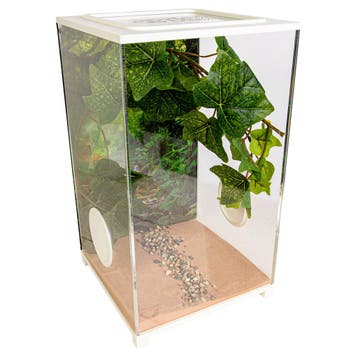 Insecten Terrarium - BioDome Wit (20x20x34), Dieren en Toebehoren
