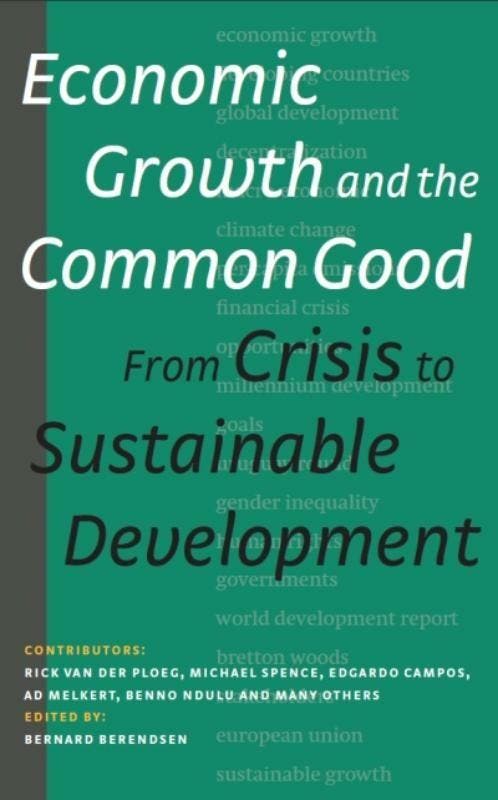 Economic growth and the common good 9789460221026, Boeken, Taal | Engels, Gelezen, Verzenden