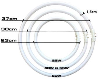 Traditionele ronde TL5 TL-buis 2GX13 22W/830 | 23cm | 300..., Ophalen of Verzenden, Nieuw
