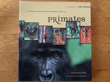 Primates - Sleeper, Verzenden, Gelezen