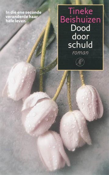 Dood door schuld - Tineke Beishuizen 9789029565301, Verzenden, Gelezen, Tineke Beishuizen