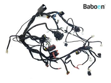 Kabelboom Aprilia SMV 750 Dorsoduro Factory 2010-2013, Verzenden, Gebruikt