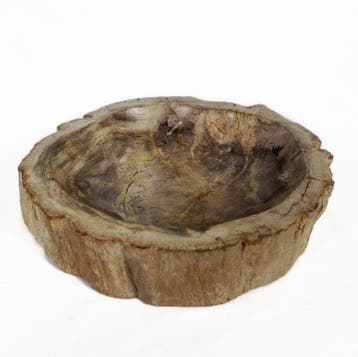 Versteend hout kom - Gefossiliseerd hout - Dipterocarpus - 7