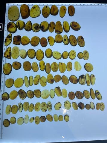 Barnsteen - 100 pieces of Burmese amber including