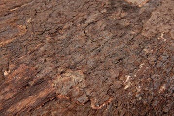 Wandkurk plaat - Cork Bark - 60 x 29,5cm, Ophalen of Verzenden, Nieuw