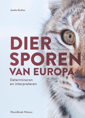 Diersporen Van Europa | Joscha Grolms | Nieuw, Boeken, Ophalen of Verzenden, Nieuw, Joscha Grolms
