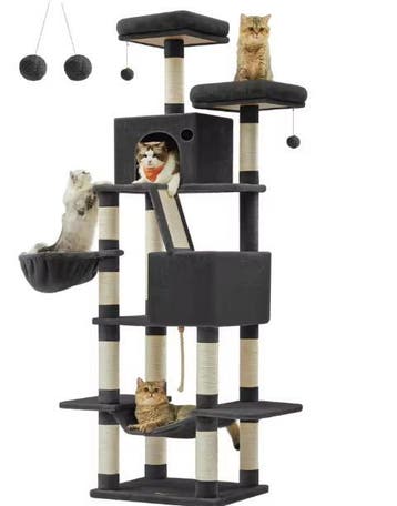XXL Krabpaal Kattenboom – 206 cm Hoog, 5 Lagen en Hangmat, Verzenden, Nieuw