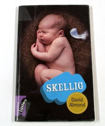 Skellig - Lijsters - David Almond 9789001815158, Boeken, Verzenden, Gelezen, David Almond