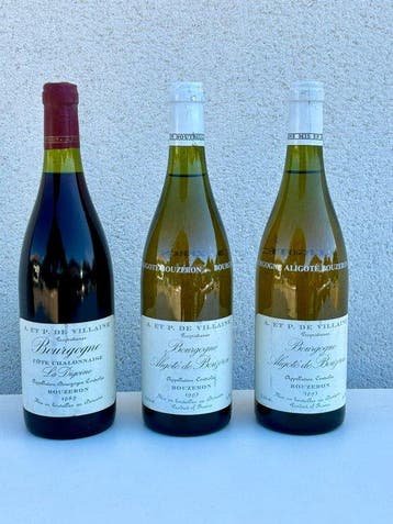 1989 A. et P. de Villaine Bourgogne La Digoine rouge &, Nieuw