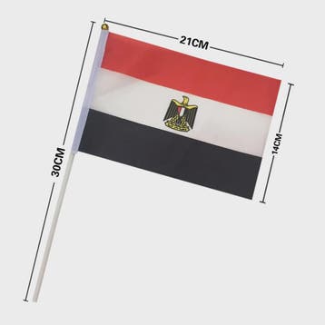 Egyptische Handvlaggetjes - Plastic Vlag op Stok voor Feeste, Verzenden, Nieuw