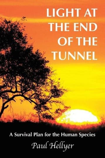 Light at the End of the Tunnel | 9781449076122 | Paul, Zo goed als nieuw, Paul Hellyer