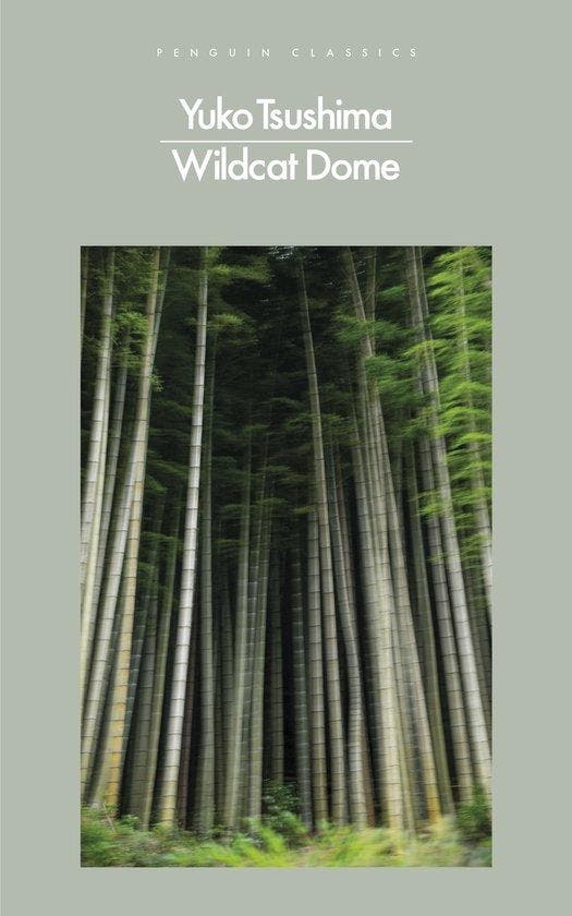 9780241649466 Wildcat Dome Yuko Tsushima, Boeken, Studieboeken en Cursussen, Nieuw, Verzenden