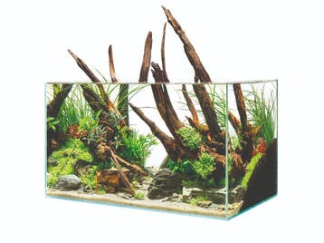 Oase ScaperLine 60 Aquarium, Dieren en Toebehoren, Ophalen of Verzenden, Nieuw