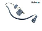 Pickup Kawasaki ZX 12 R Ninja 2000-2001 (NINJA ZX-12R, Motoren, Verzenden, Gebruikt