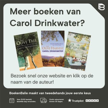 The Forgotten Summer - Carol Drinkwater 9781405924146, Verzenden, Gelezen, Carol Drinkwater